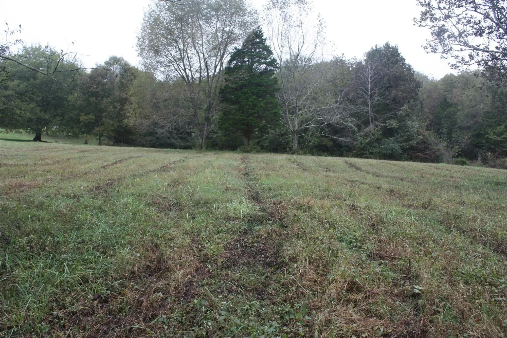 Gallery photo 12
