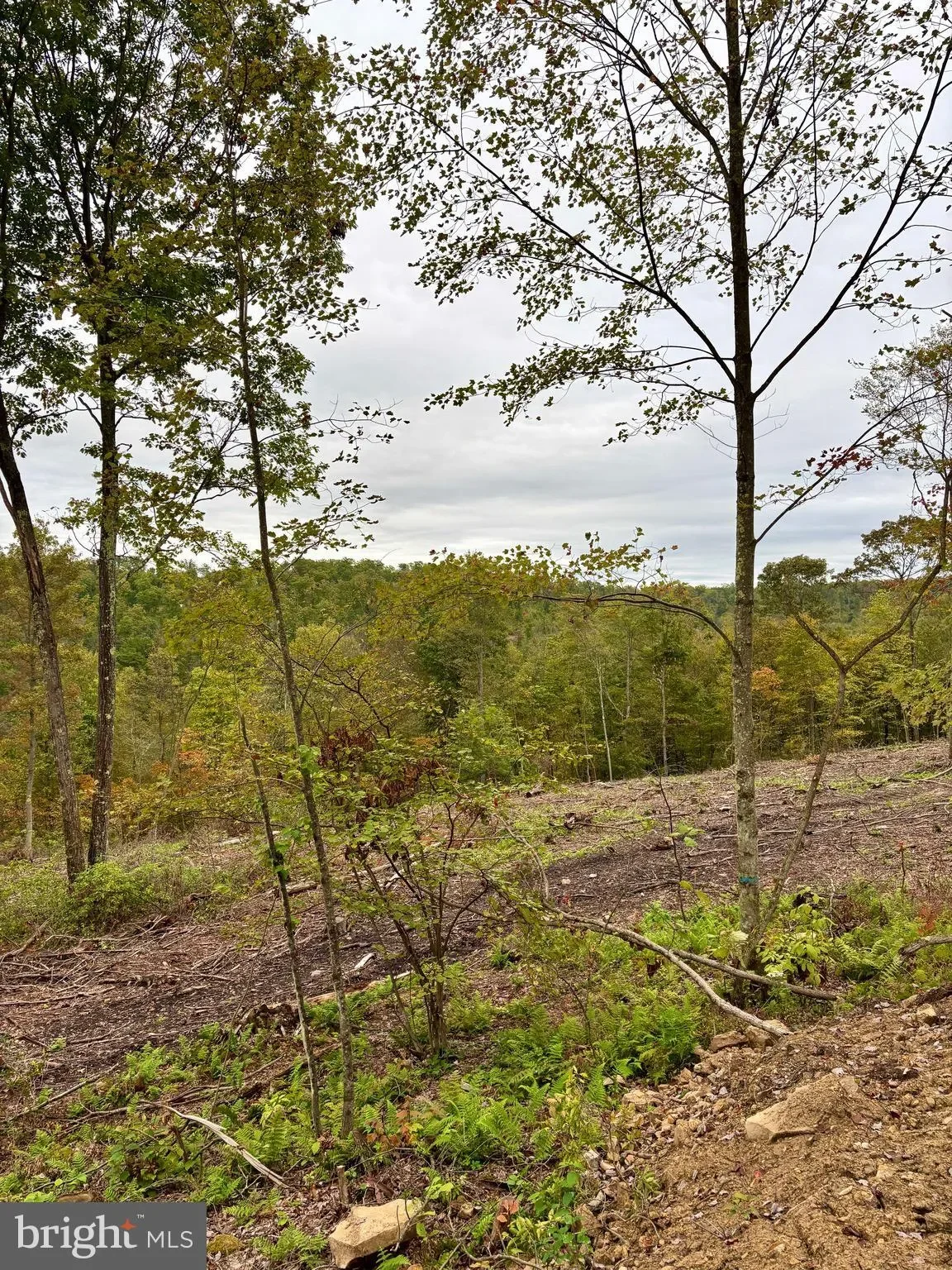 31-36 BEECH CREEK MOUNTAIN RD ROAD, BEECH CREEK, PA 16822, Beech Creek, Pennsylvania, United States. - Photo 17