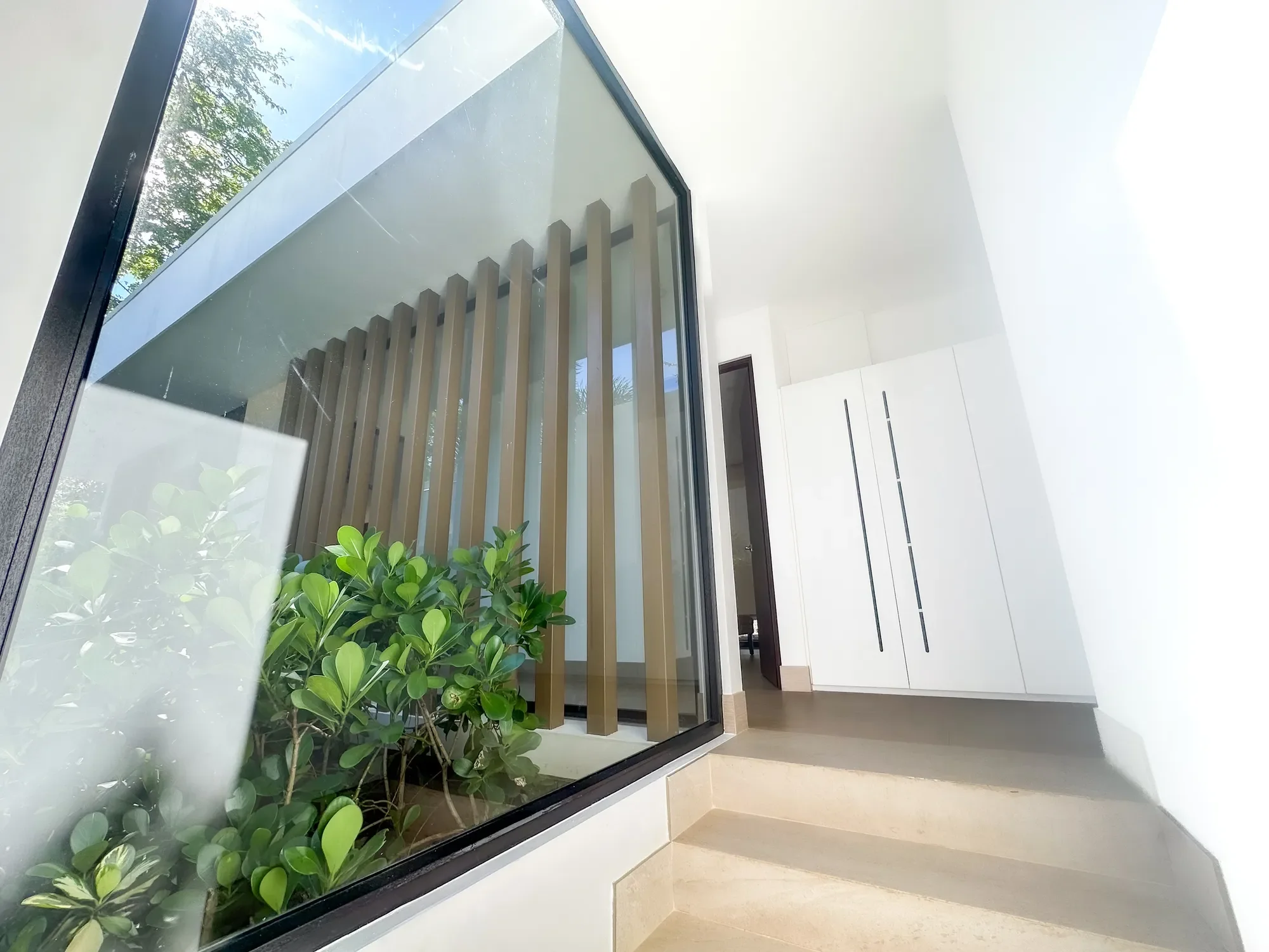 Gallery photo 7
