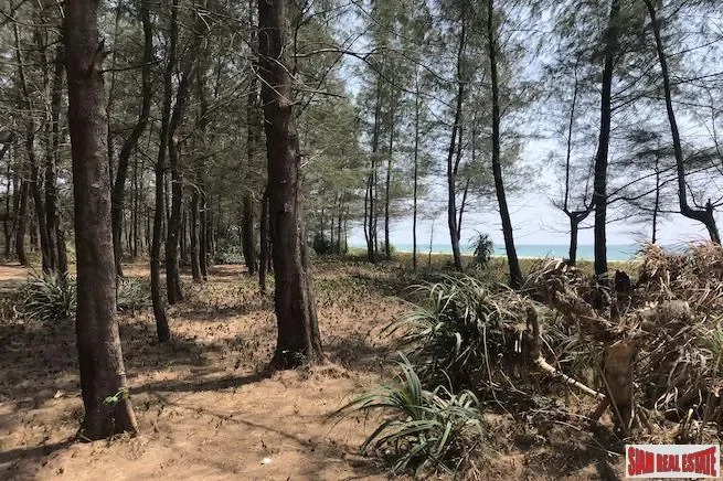Phang Nga,, Na Toei, Phang-nga, Thailand. - Photo 7