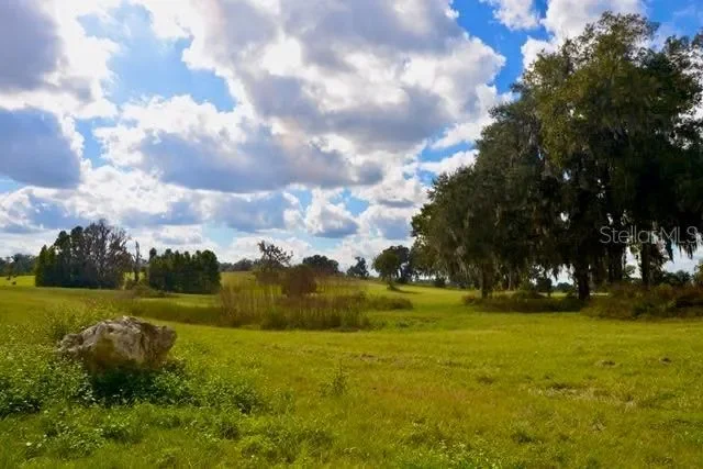 11750 SE 22ND AVE ROAD, Belleview, Florida, United States. - Photo 4