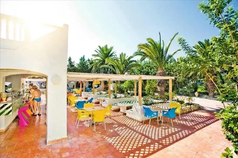 Hammamet, Nabeul, Tunisia. - Photo 17