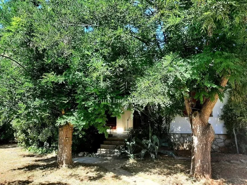 Novalja, Croatia. - Photo 10