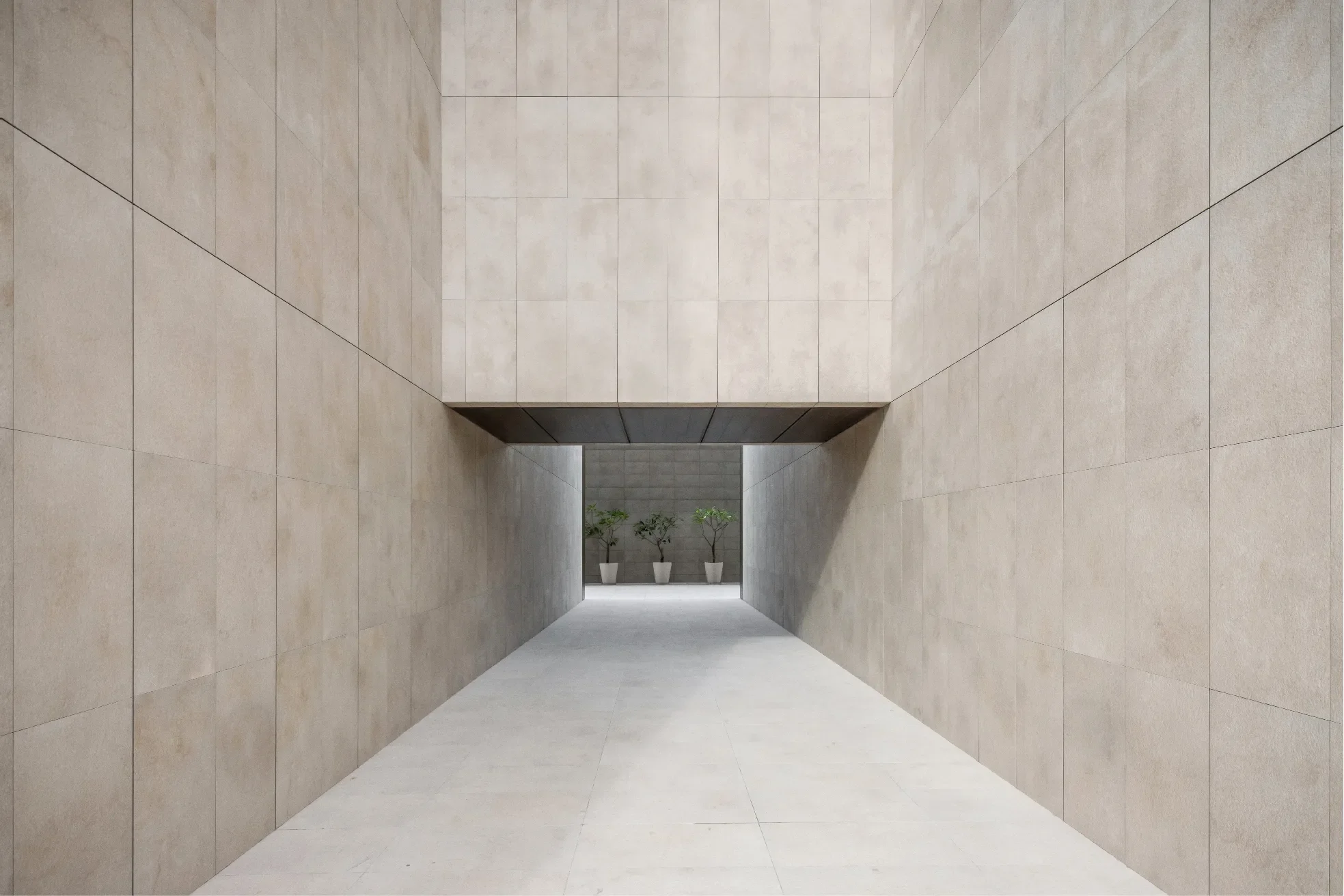 Gallery photo 5