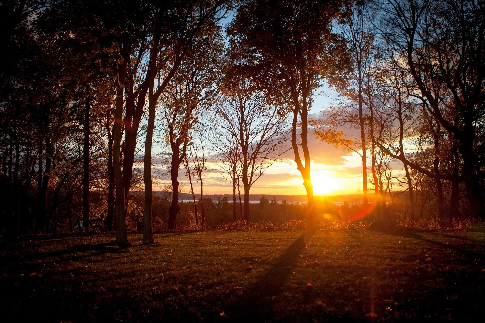 25 Carriage Trail, Tarrytown, NY, 10591, USA, Irvington, New York, United States. - Photo 2