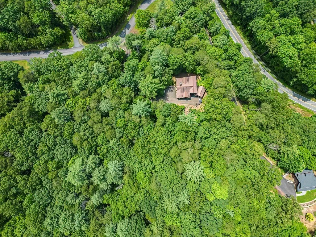35 Leatherwood Mountain Road, Cherry Log, Georgia, United States. - Photo 43