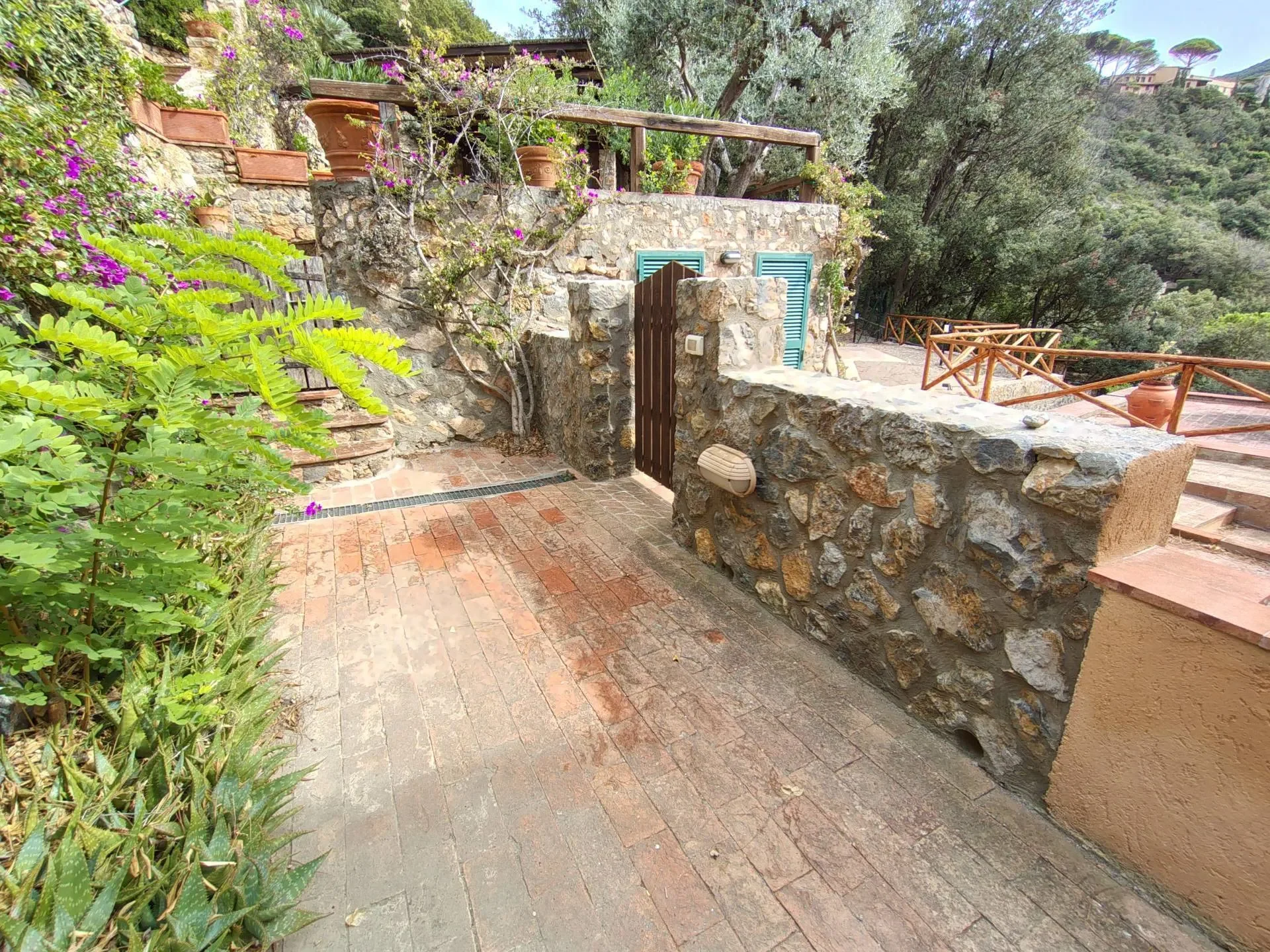 Gallery photo 5