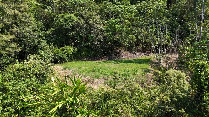 Finca Vista al Pacífico, 71 acres, Savegre de Aguirre, Puntarenas Province, Costa Rica. - Photo 10