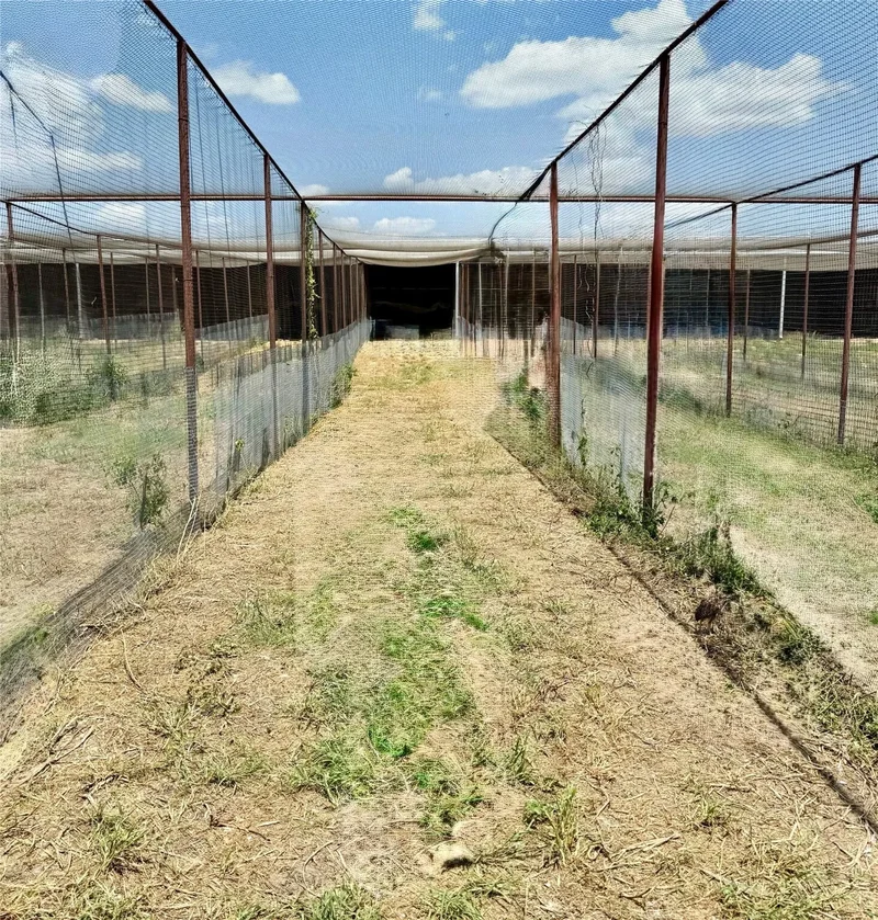 1500 Lumkins Road, Forreston, TX 76041, Waxahachie, Texas, United States. - Photo 12