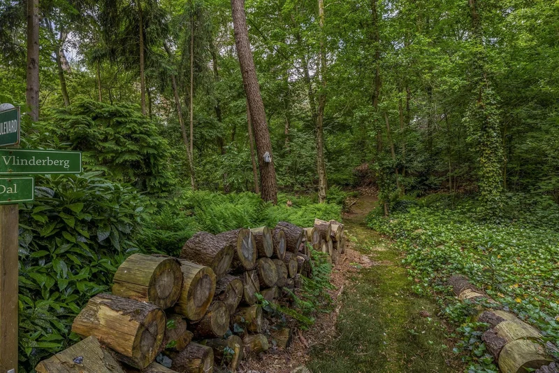 Rietven 6, Boekel, North Brabant, Netherlands. - Photo 19