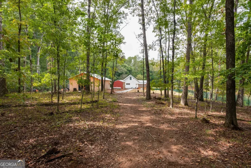 Athens, Georgia, United States. - Photo 44
