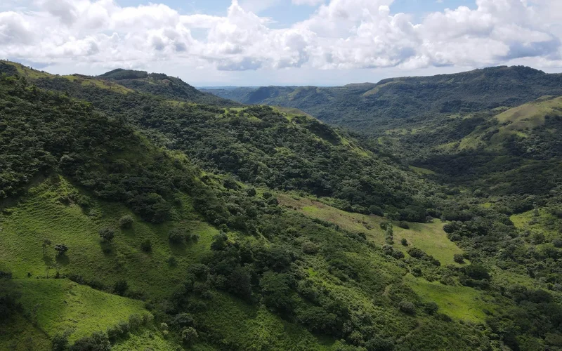 Sorá, Coclé Province, Panama. - Photo 9