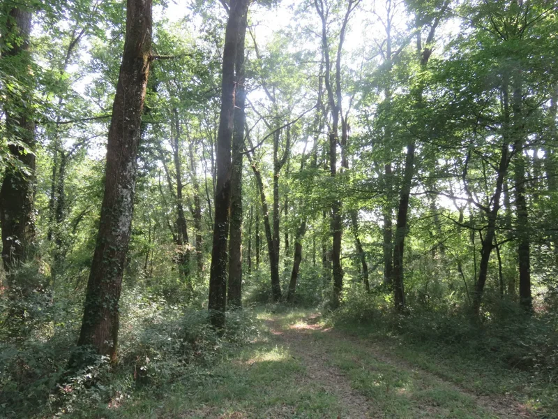 Séailles, Séailles, Séailles, Occitanie, France. - Photo 12