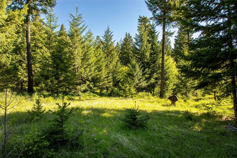 25 Starview Drive, Bigfork, MT 59911, Bigfork, Montana, United States. - Photo 15