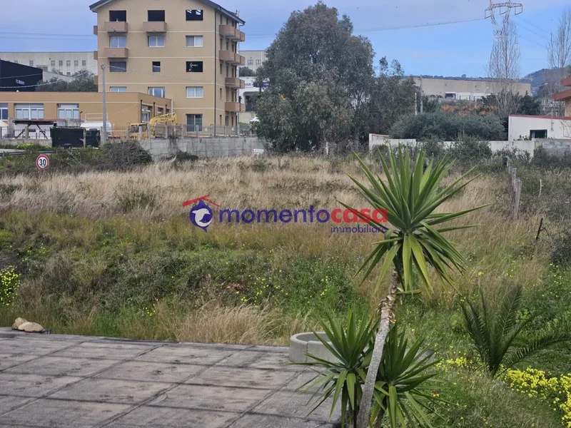 località concessa, Reggio Calabria, Calabria, Italy. - Photo 14