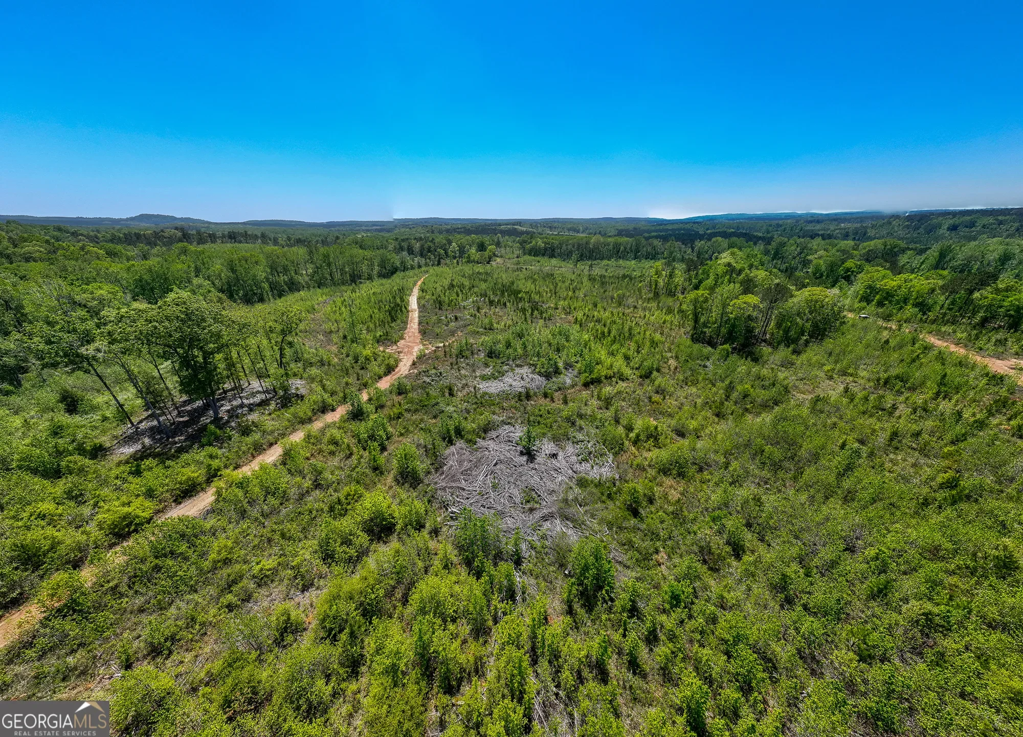 Shiloh, Georgia, United States. - Photo 39