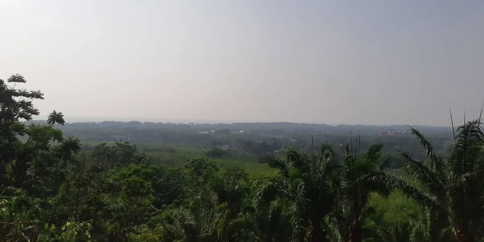 Phuket,, Mai Khao, Phuket, Thailand. - Photo 4