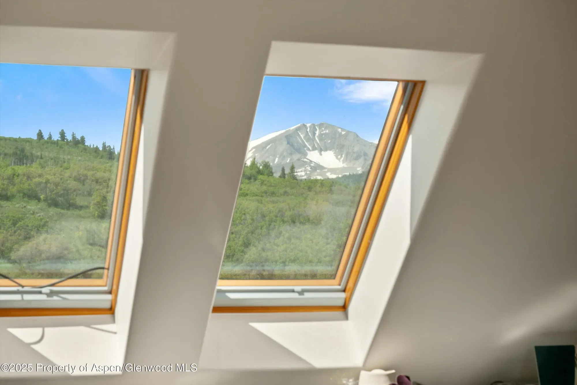 2240 Old Herron Road, El Jebel, Colorado, United States. - Photo 19