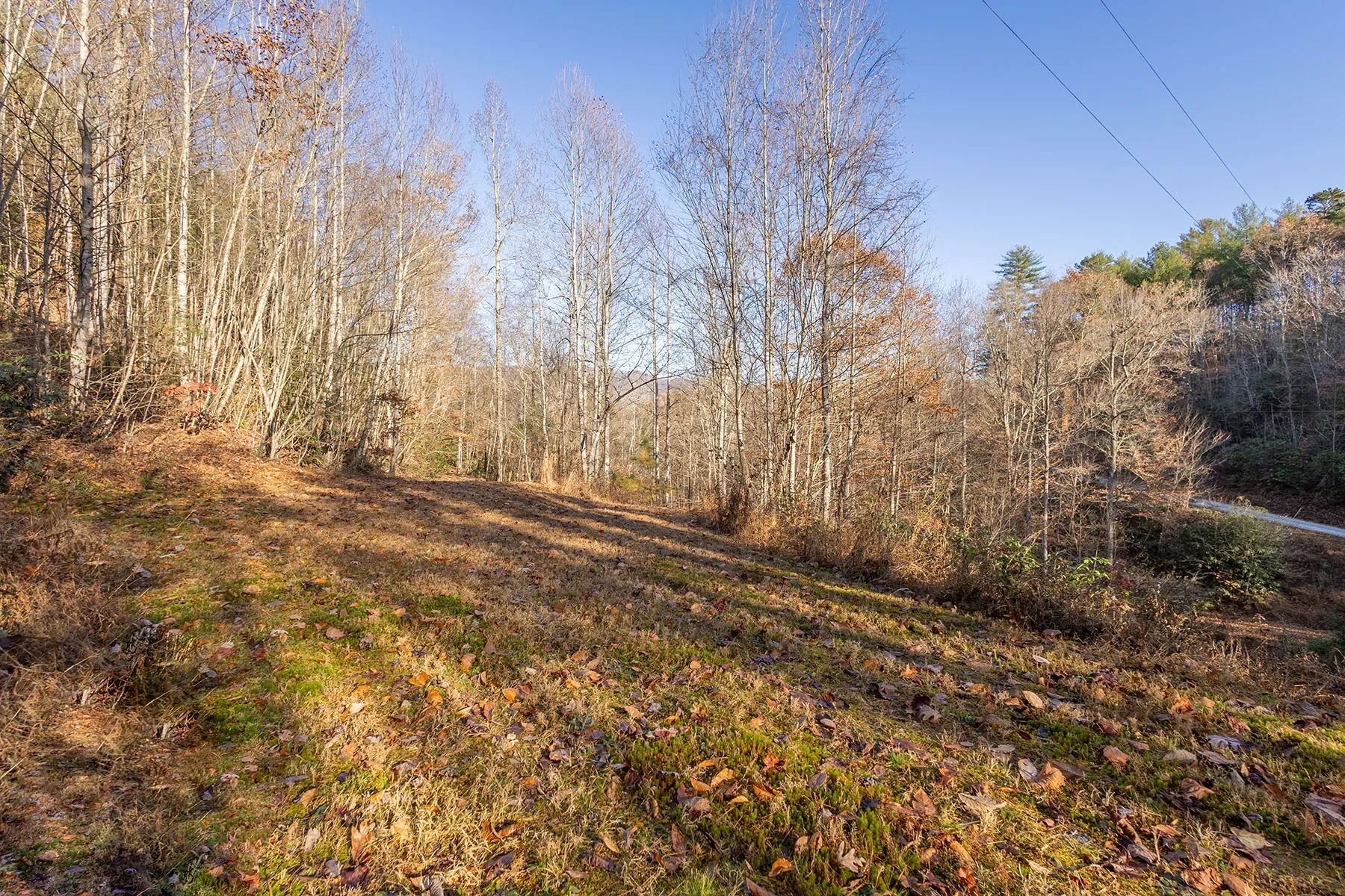 85 Brown Lane, Marble, NC 28905, Marble, North Carolina, United States. - Photo 14