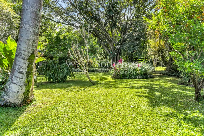 Santa Ana, Brasil de Santa Ana, SJ, Brasil District, San José Province, Costa Rica. - Photo 31
