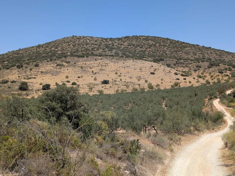 Andalucia, Loja, GRANADA, Loja, Loja, Andalusia, Spain. - Photo 83