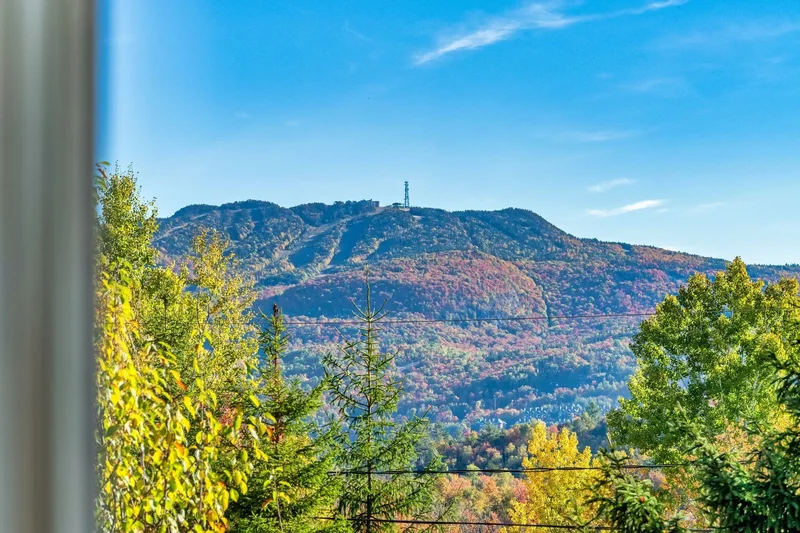 135 Rue Rabellino, Laurentides, Mont-Tremblant, Quebec, Canada. - Photo 36