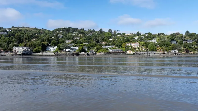 4980 Paradise Drive, Tiburon, California, United States. - Photo 47