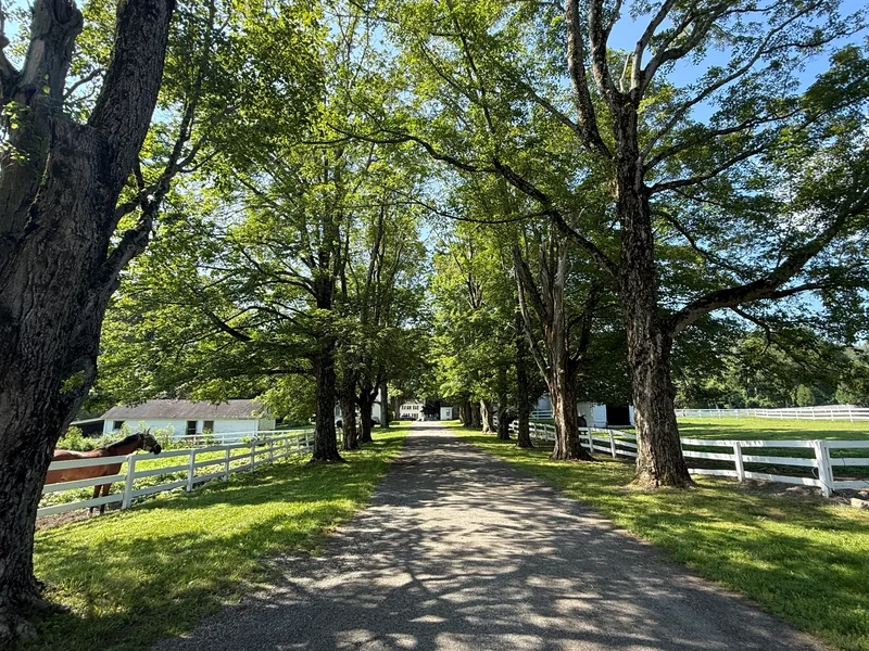 Nestled In The Heart Of The Berkshires