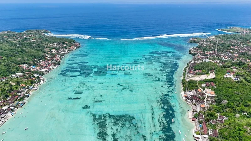 Bali, Nusa Lembongan, Bali, Indonesia. - Photo 34