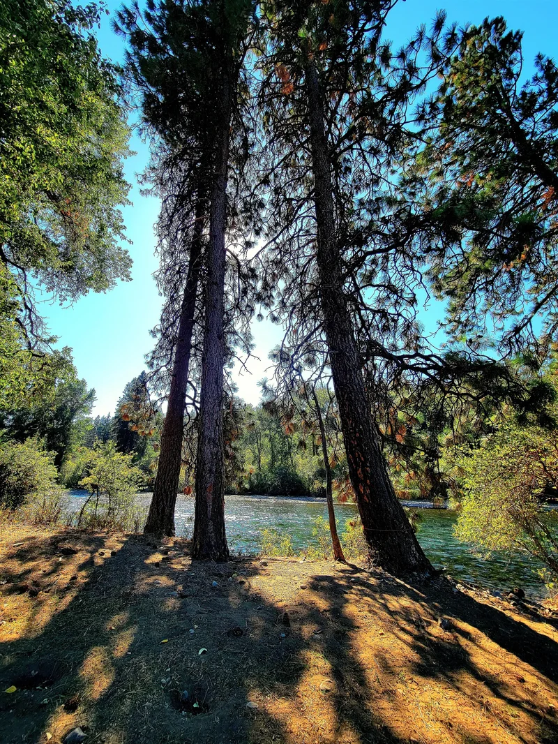 53 Highway 10, Cle Elum, WA 98922, Cle Elum, Washington, United States. - Photo 10