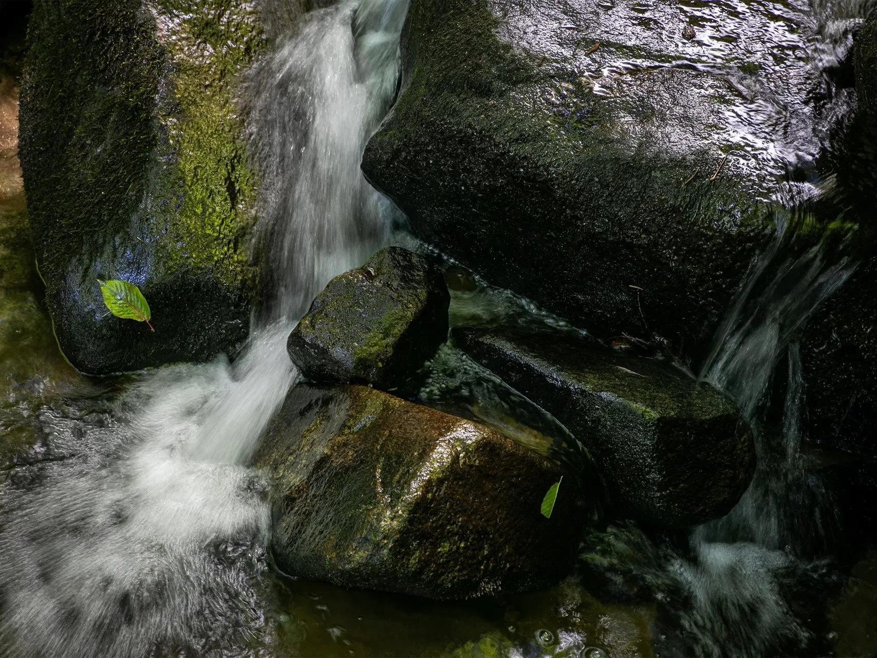 999 Robinson Creek, Glenville, NC, 28736, USA, 28736, North Carolina, United States. - Photo 17