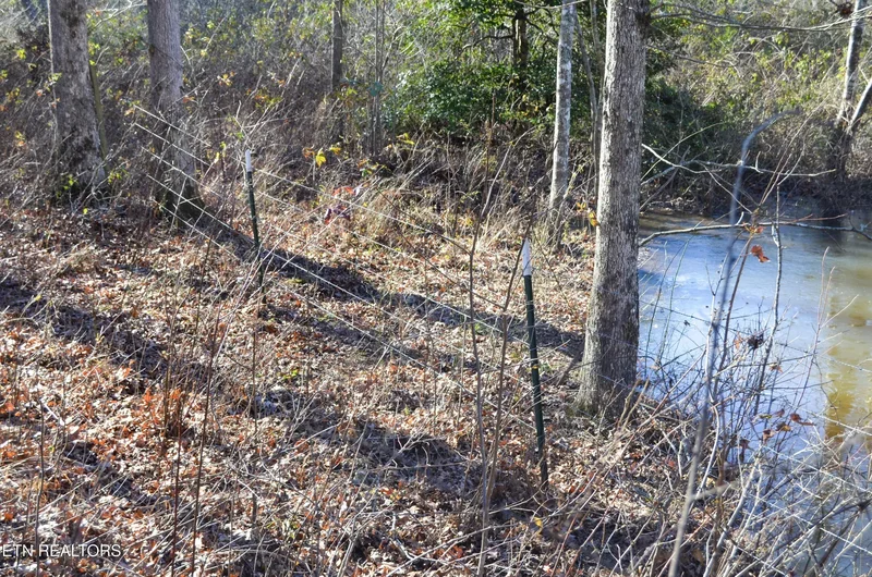 Sparta Hwy 63.3 Acres, Crossville, TN 38555, Crossville, Tennessee, United States. - Photo 19