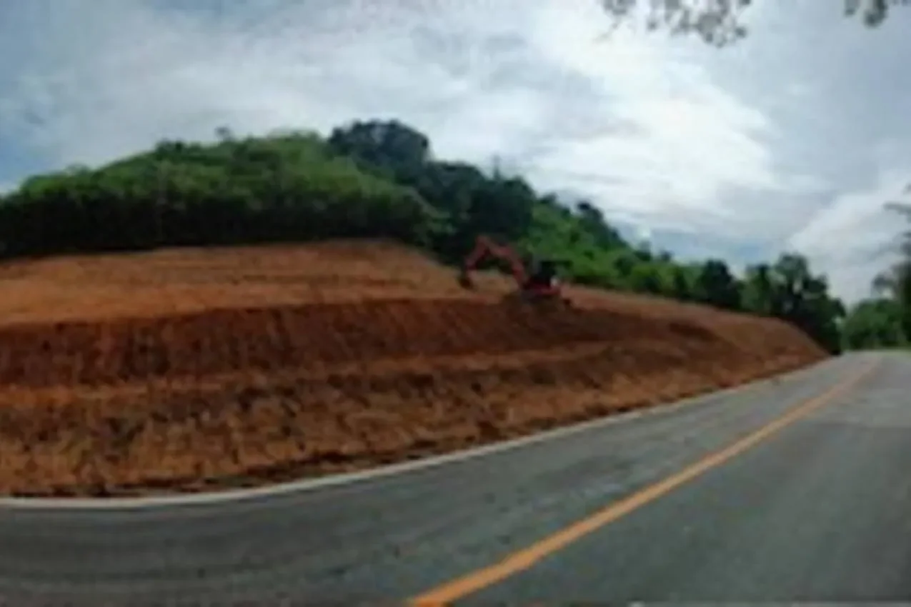 Phuket,, Mai Khao, Phuket, Thailand. - Photo 15
