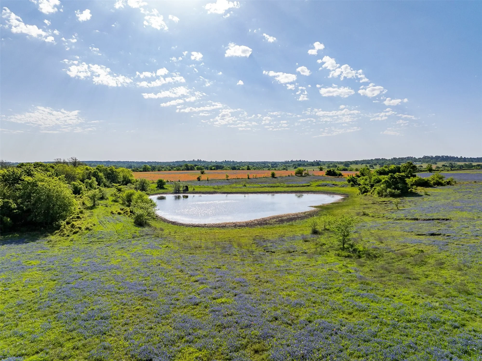 5107 Bovista Ranch Road, Navasota, TX 77868, Navasota, Texas, United States. - Photo 19