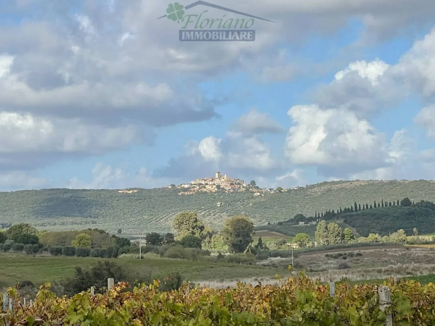 Strada Pedemontana, Capalbio, Tuscany, Italy. - Photo 39