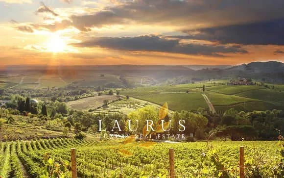 Vicopisano, Tuscany, Italy. - Photo 34