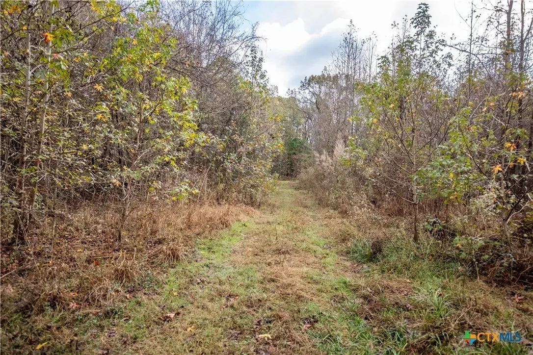 474 Pr 4311, White Oak, TX 75693, Longview, Texas, United States. - Photo 23