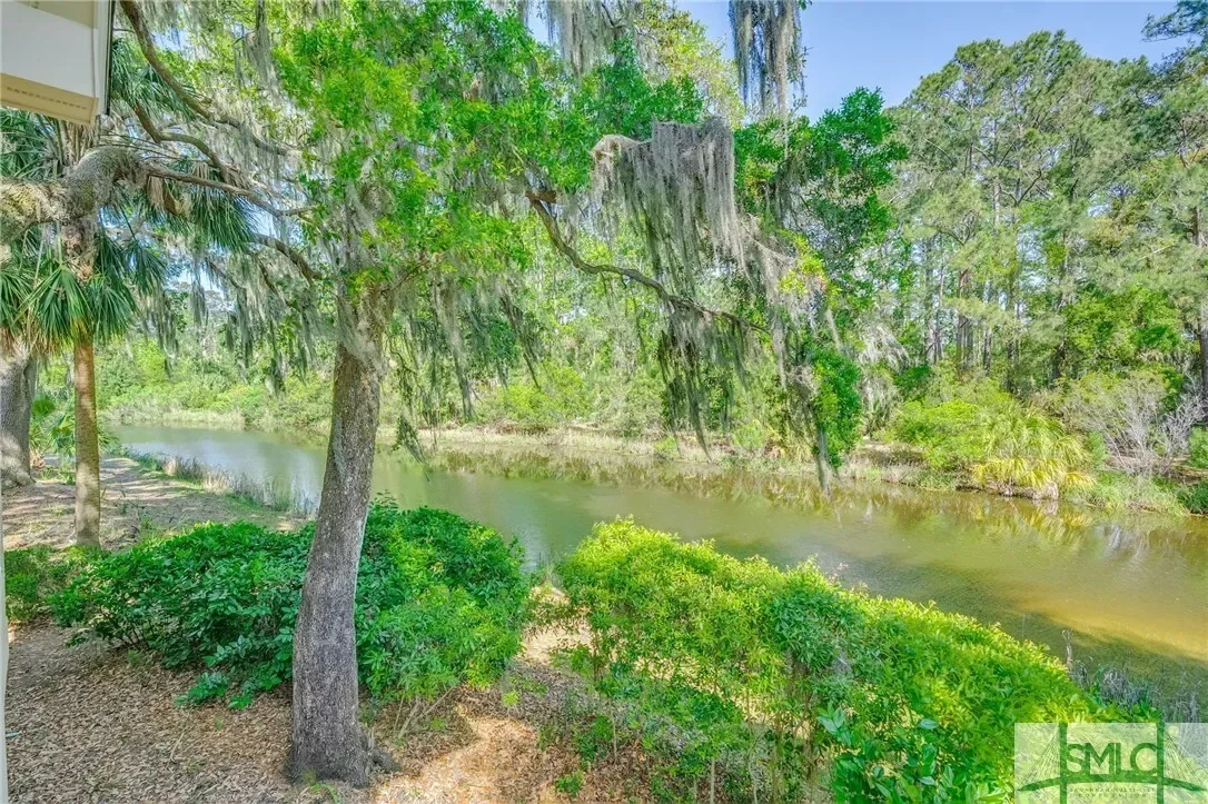 5 Windlass Court, Savannah, Georgia, United States. - Photo 34