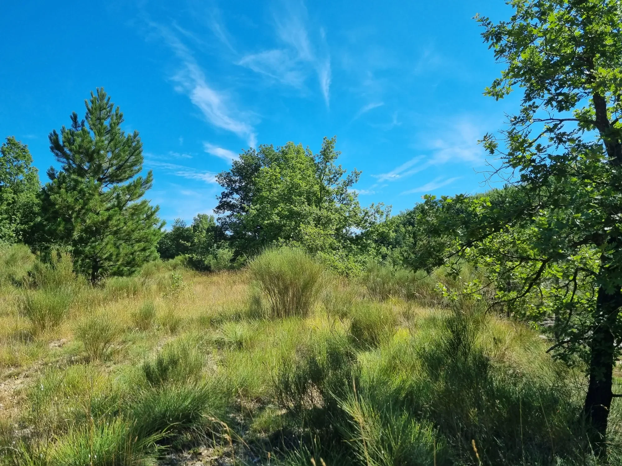 Embrun, Ontario, Canada. - Photo 22