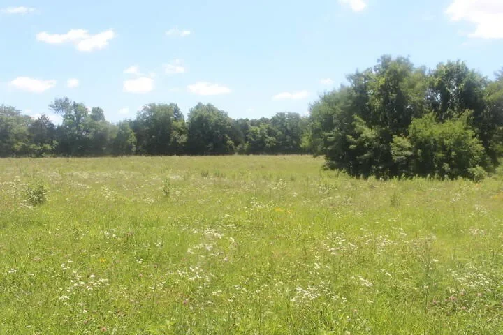 3176 S 170th Road, Polk, MO 65727, Bolivar, Missouri, United States. - Photo 82