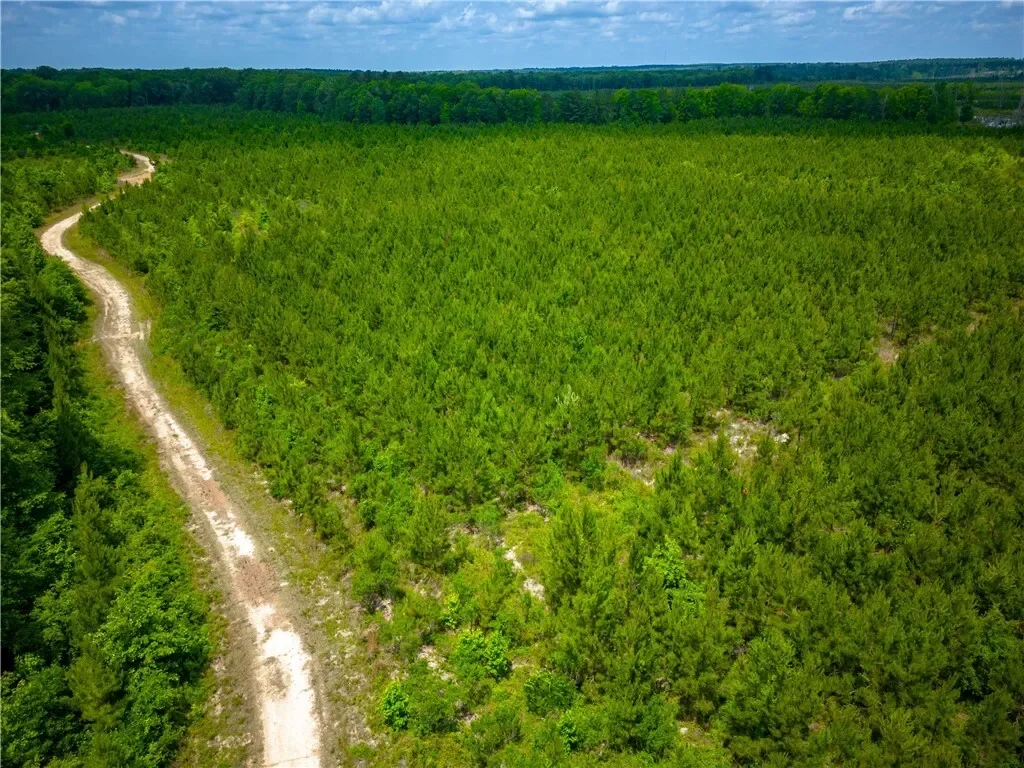0 East River Road, Other, GA 31544, Jacksonville, Georgia, United States. - Photo 19