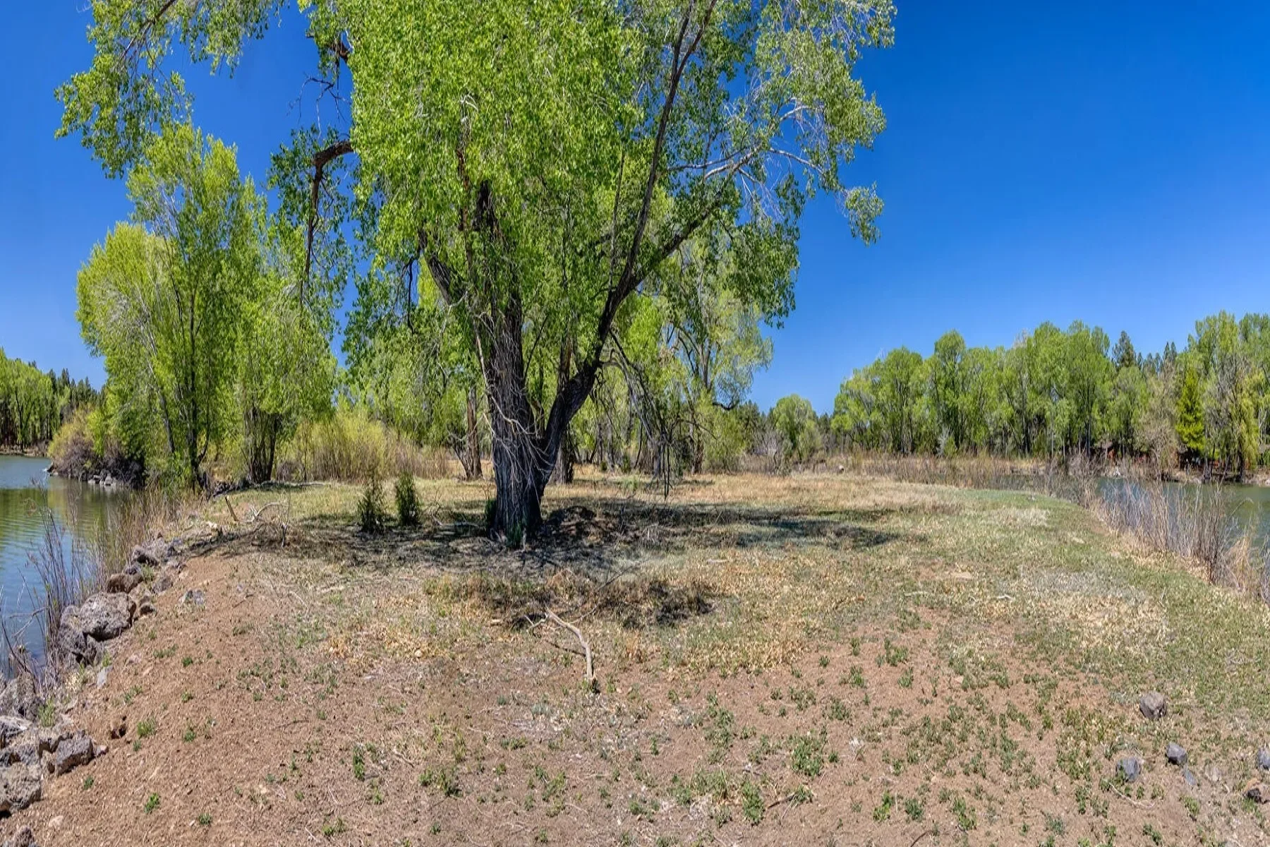 XXXX Larson Road , Pinetop-Lakeside, AZ 85259, Pinetop-Lakeside, Arizona, United States. - Photo 14