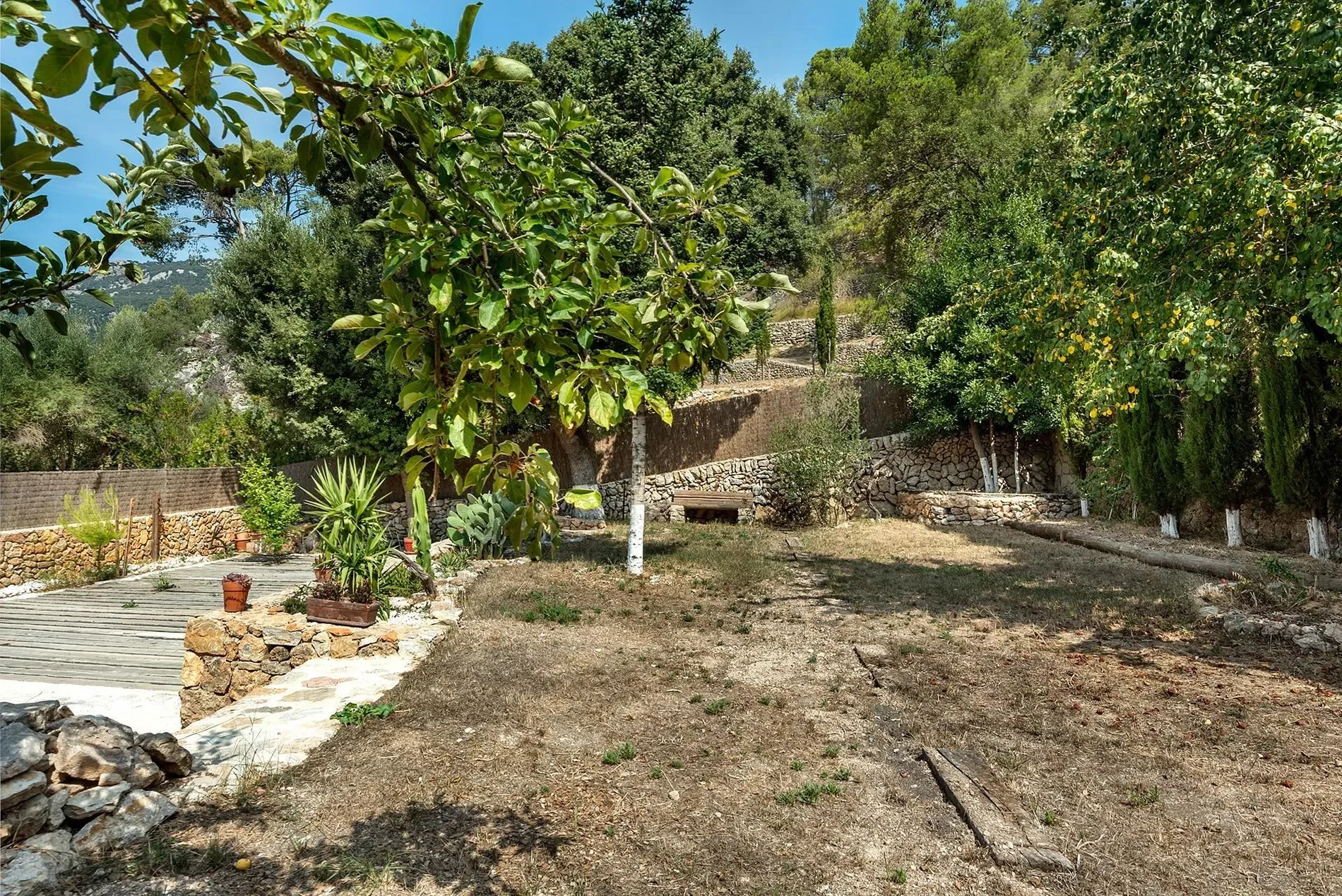 Orient, Bunyola, BALEARES, Bunyola, Bunyola, Balearic Islands, Spain. - Photo 10