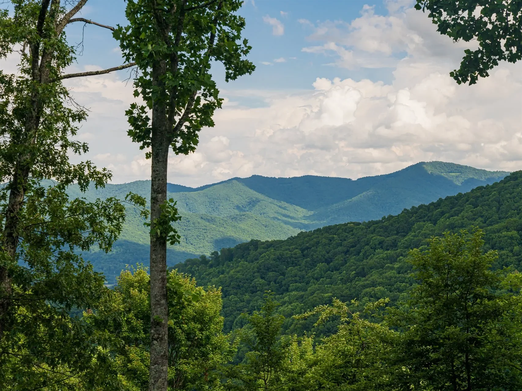 130 Bluff Creek, Candler, NC, 28715, USA, Candler, North Carolina, United States. - Photo 18