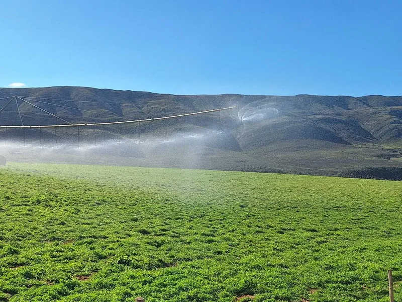 George, Western Cape, South Africa. - Photo 11