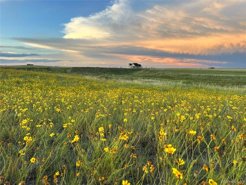 18320 Falcon Highway, Peyton, Colorado, United States. - Photo 42