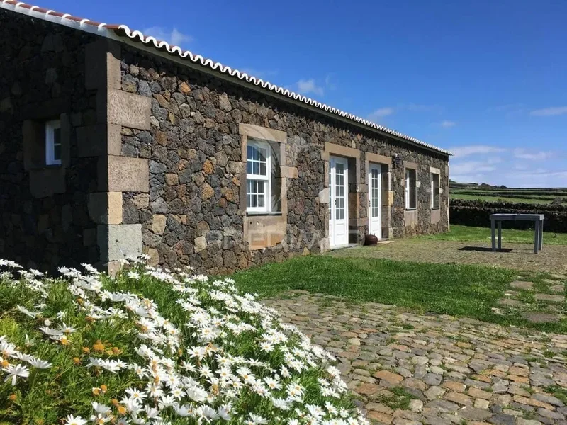 Inserted in a setting of tranquility and natural beauty, this magnificent farm with about 53,000sqm