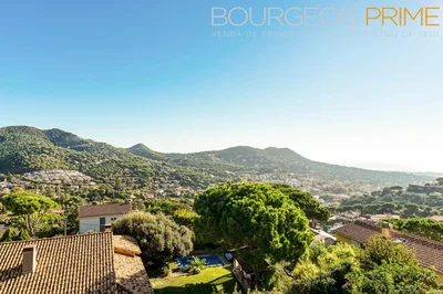 Thumbnail 37