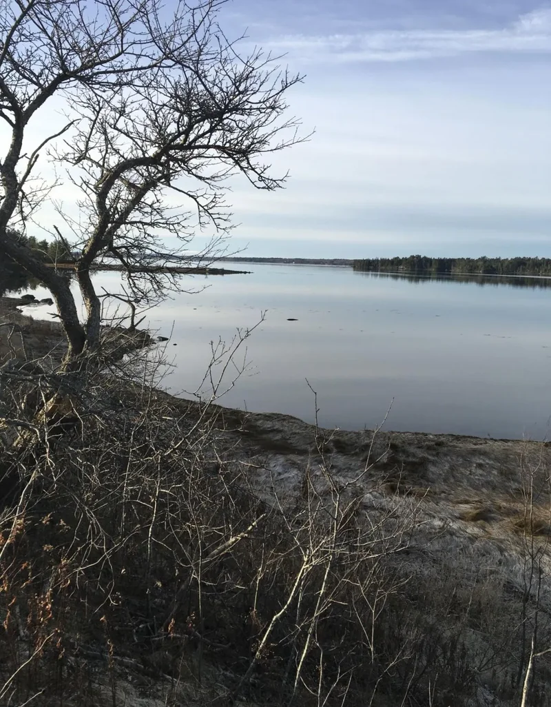 561 Bayside Road, Ellsworth, ME 04605, Trenton, Maine, United States. - Photo 120