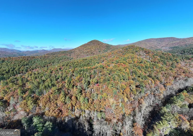 80.62 AC Morganton Hwy, Suches, GA, 30572, USA, Suches, Georgia, United States. - Photo 14